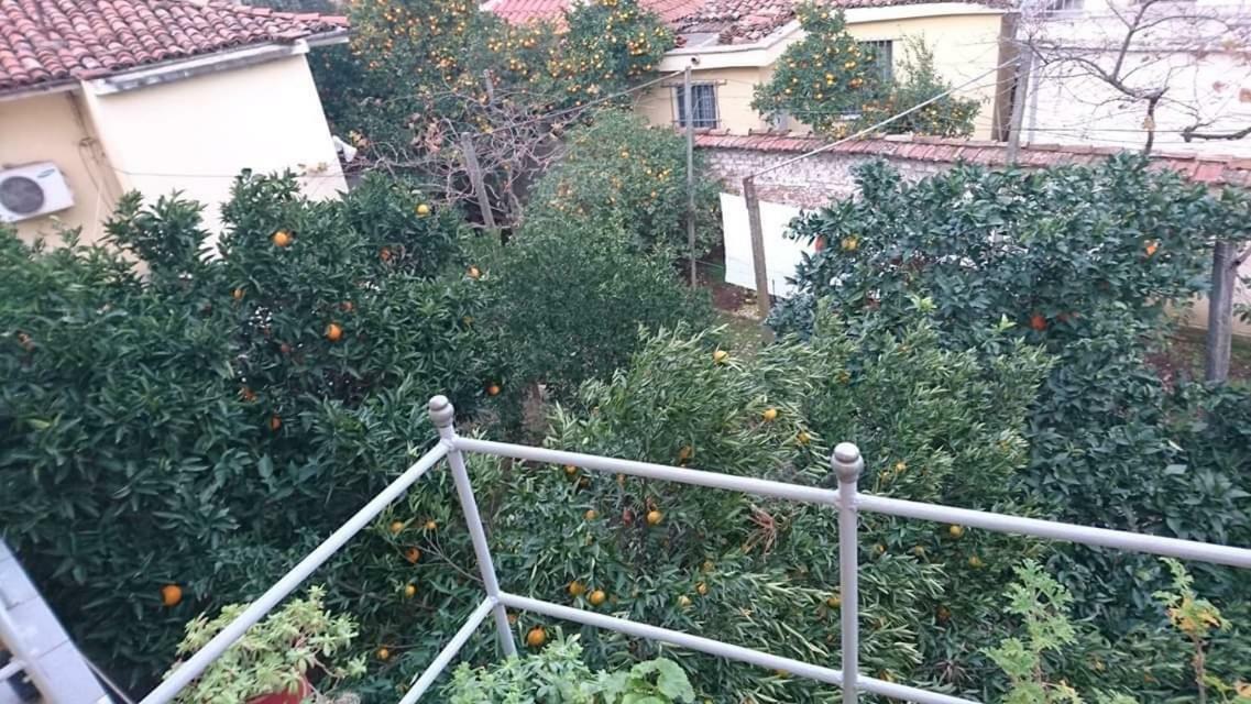 Orange Villa Hotel Tirana Buitenkant foto